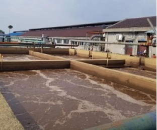 出水氨氮大于進水氨氮，怎么回事？
