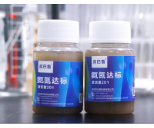 生化系統(tǒng)崩潰，氨氮超標(biāo)，我該怎么辦?