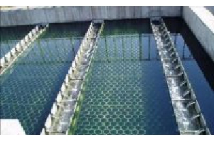 【干貨】生物濾池為什么一受沖擊氨氮去除率就會(huì)下降？